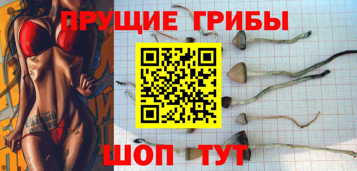 Псилоцибиновые грибы прущие грибы Солнечногорск