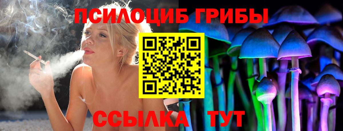 Солнечногорск  Галлюциногенные грибы ЛСД  Вход с VPN 